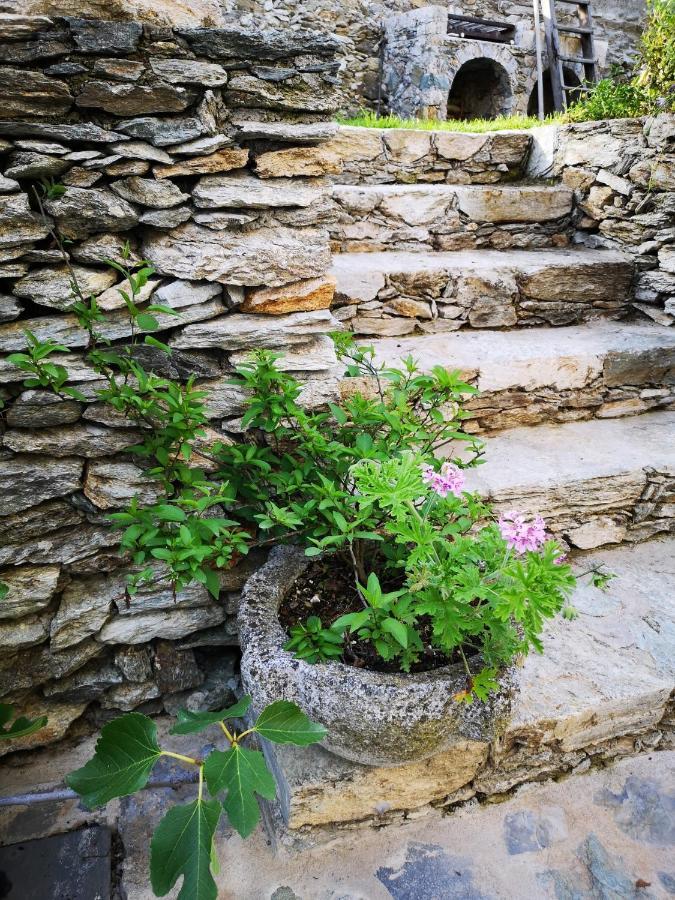 Tovo San Giacomo B&B Ca' Du Brigidin מראה חיצוני תמונה