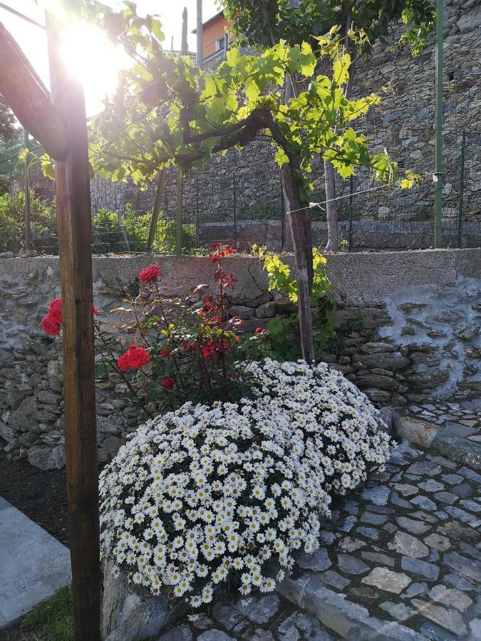 Tovo San Giacomo B&B Ca' Du Brigidin מראה חיצוני תמונה