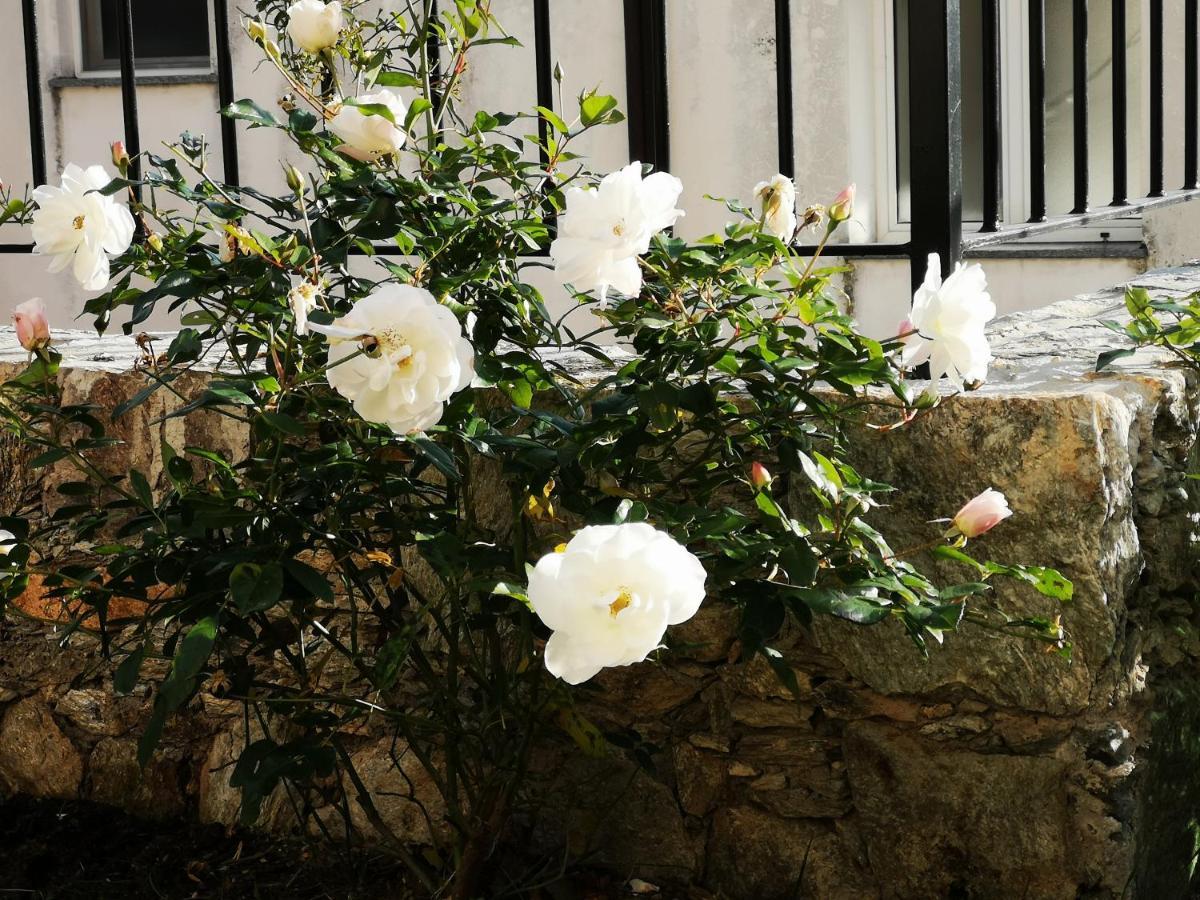 Tovo San Giacomo B&B Ca' Du Brigidin מראה חיצוני תמונה