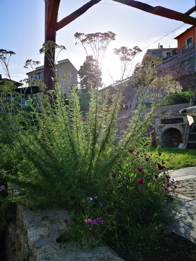 Tovo San Giacomo B&B Ca' Du Brigidin מראה חיצוני תמונה