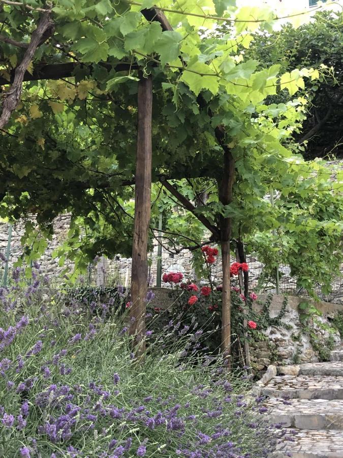 Tovo San Giacomo B&B Ca' Du Brigidin מראה חיצוני תמונה