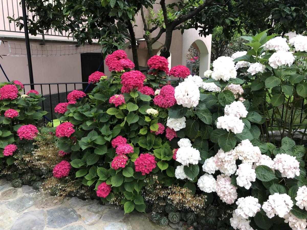 Tovo San Giacomo B&B Ca' Du Brigidin מראה חיצוני תמונה